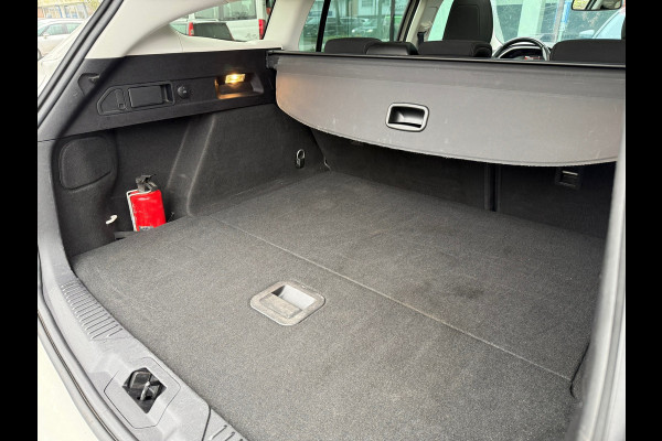 Ford FOCUS Wagon 1.0 EcoBoost Active Business - Automaat - Panodak - Trekhaak - Navi - Parkeerhulp