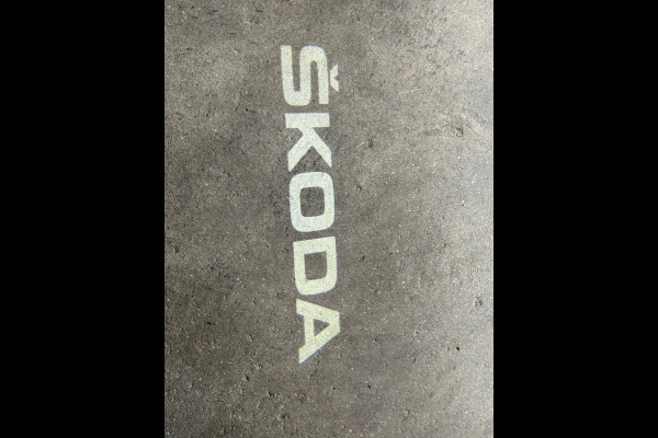 Škoda Karoq 1.5 TSI DSG 4x4 Sportline Business | 1800KG Trekgewicht | Carplay | Sportstoelen | Camera