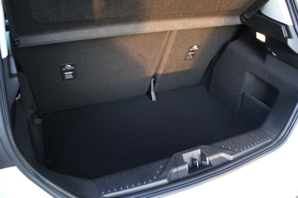 Ford Fiesta 1.0 EcoBoost Titanium | B&O Audio | Parkeersensoren | Stoelverwarming + Stuurverwarming | Camera | LED |