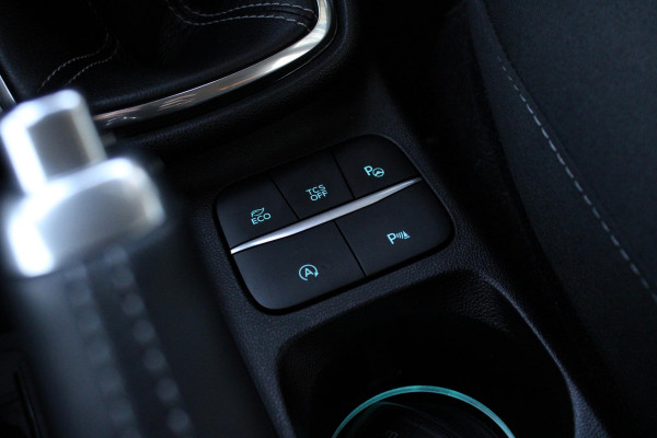 Ford Fiesta 1.0 EcoBoost Titanium | B&O Audio | Parkeersensoren | Stoelverwarming + Stuurverwarming | Camera | LED |