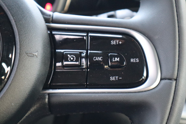 Fiat 500 Urban 42 kWh | Carplay |