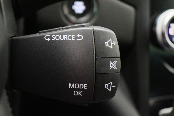 Renault Mégane Estate 1.3 TCe Intens LED, Keyless, Apple Carplay, Climate, Cruise, PDC