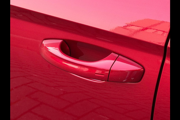 Seat Ibiza 1.5 TSI EVO FR LED ACC Pano Beats Camera Carplay