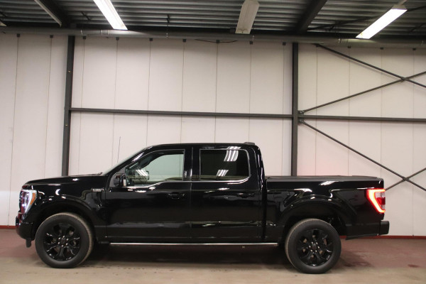 Ford USA F-150 USA F-150 V6 Financial Lease €789 PER MAAND
