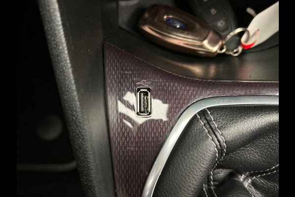 Ford Fiesta 1.0 EcoBoost Vignale Carplay Panorma-dak Stoel/Stuur Verwarming Cruise Climate Control Camera