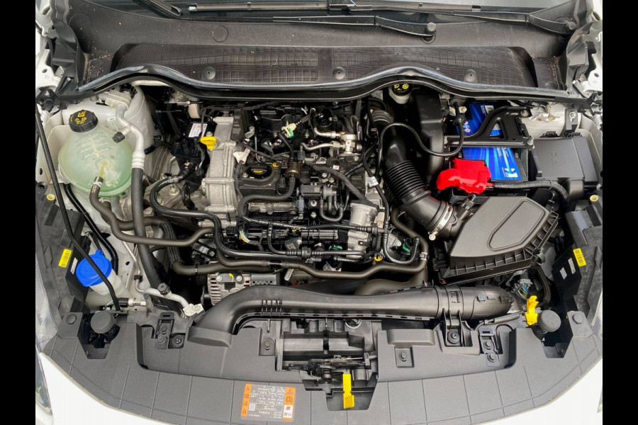 Ford Fiesta BWJ 2023 | 1.0T Hybrid 126PK Titanium | CLIMA | CARPLAY | CRUISE | NAVI | PRIVACY GLASS |