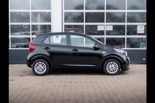 Kia Picanto 1.0 DPi DynamicLine | Carplay | Airco | Achteruitrijcamera | All season banden |
