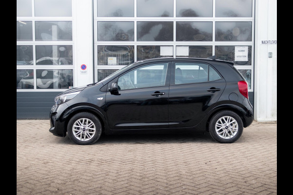 Kia Picanto 1.0 DPi DynamicLine | Carplay | Airco | Achteruitrijcamera | All season banden |