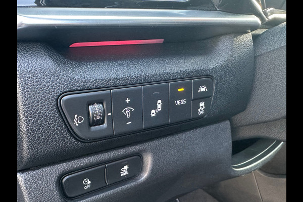 Kia e-Niro ExecutiveLine 64 kWh SOH 100%|Warmtepomp