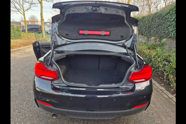 BMW 2 Serie Coupé M-Sport Apple Carplay Line Assist 2e eigenaar High Executive