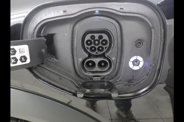 Ford Mustang Mach-E RWD 75 kWh | Full Leder | 113000 km!