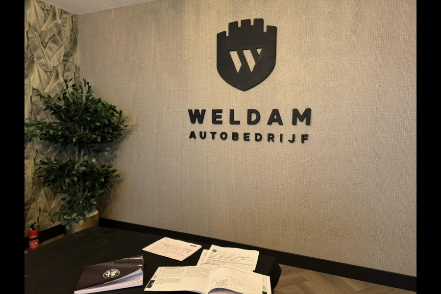 Alfa Romeo Tonale 1.5T Hybrid Ti Garantie StuurVW StoelVW Camera Adoptieve Cruise Elek Achterklep Navi Clima Led Dab Rijklaar