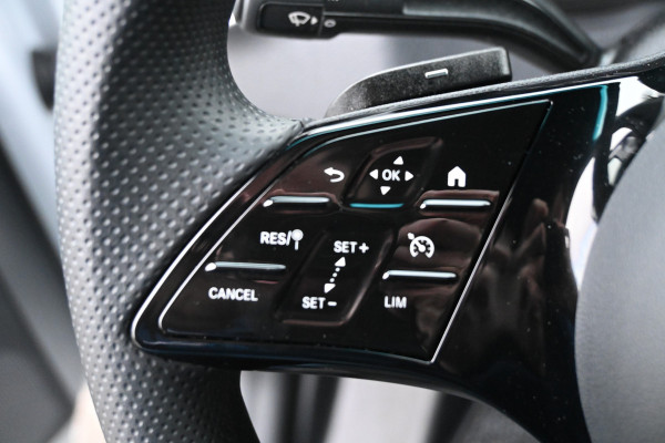 Mercedes-Benz Sprinter 317 CDI L2H2 Pro Geveerde stoel, Navigatie met camera