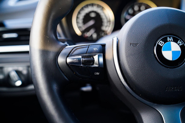 BMW X2 XDrive25e Business Edition Plus| Headup | Camera | Stoelverwarming | Pano