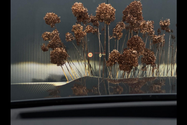 BMW X5 xDrive40d M PACK PANO KUIPSTOELEN LEDER LED NAVI CAMERA