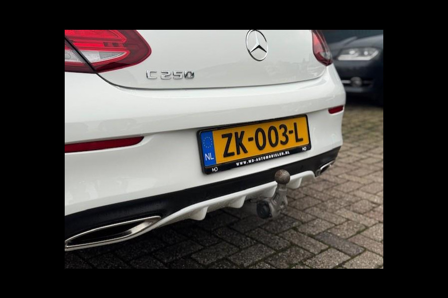 Mercedes-Benz C-Klasse Cabrio 250 AMG Line Premium Plus-360°