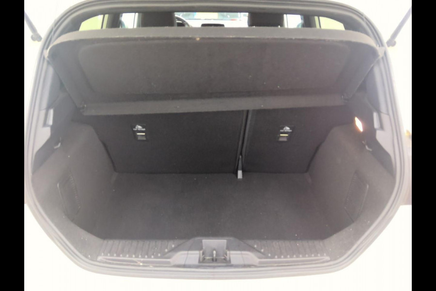 Ford Fiesta 1.0 EcoBoost ST-Line | Cruise control |