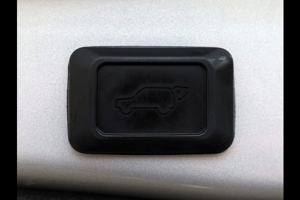 Toyota RAV4 2.5 Plugin Hybrid Bi-Tone+ | Panoramadak | JBL | Stoelventilatie