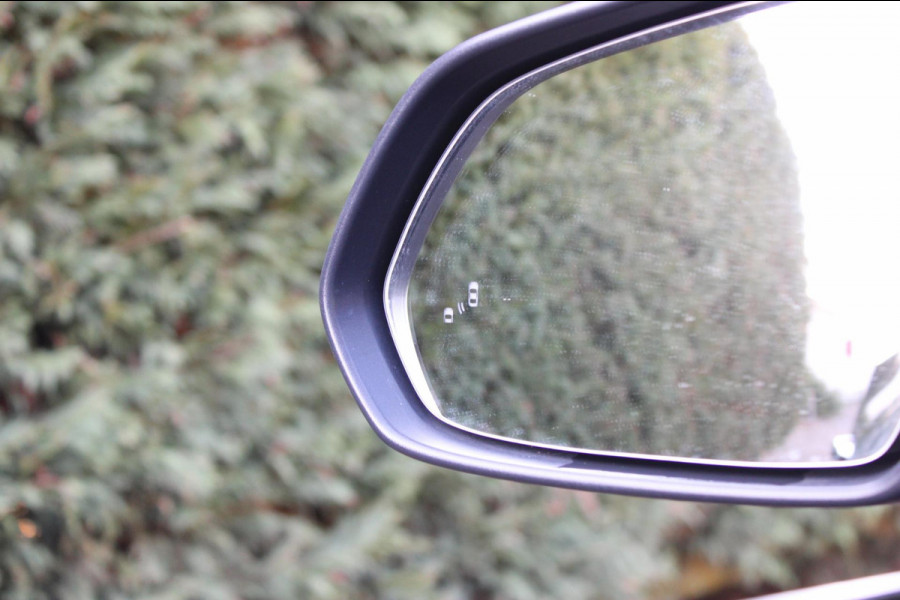 MG Mg Zs EV Luxury 45kWh AllSeason Panodak Leder !!NIEUWBINNEN!!