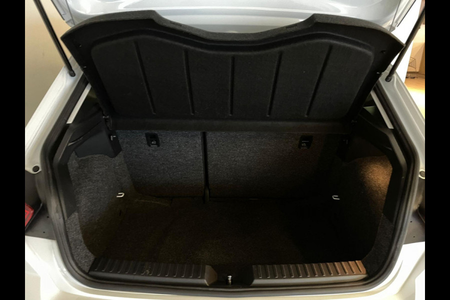 Seat Ibiza 1.0 TSI FR Business Intense PANO ECC 18 inch Velgen