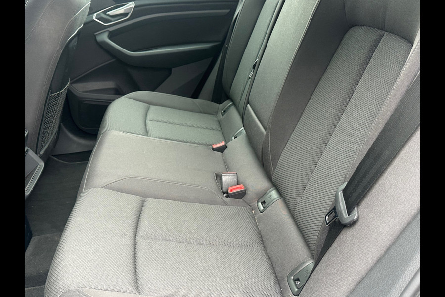 Audi e-tron 55 quattro edition 95 kWh SOH 87%