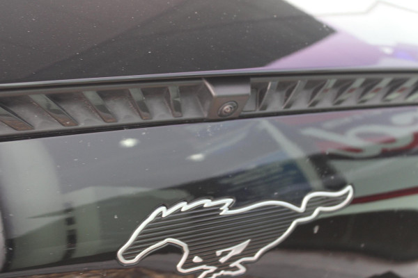 Ford Mustang Mach-E Extended RWD 98 kWh | Panoramadak | Trekhaak | Bang&Olufsen | Elektrische achterklep