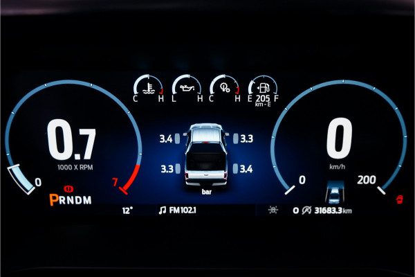 Ford USA F-150 3.5 V6 EcoBoost Platinum CrewCab LPG Pano Hardtop