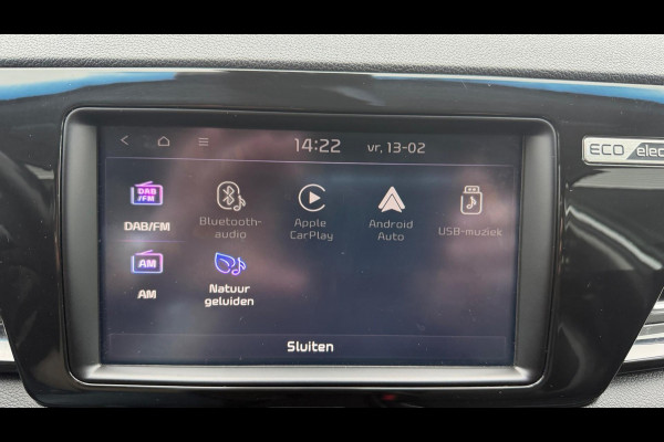 Kia e-Niro ExecutiveLine 64 kWh SOH 100% LEER NAVI CAMERA APPLE CARPLY