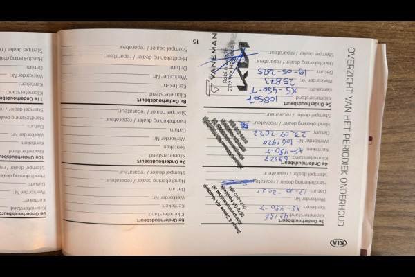 Kia e-Niro ExecutiveLine 64 kWh SOH 100% LEER NAVI CAMERA APPLE CARPLY