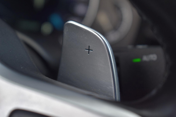 BMW 5 Serie 530e High Executive Pano Leder Sfeer Camera