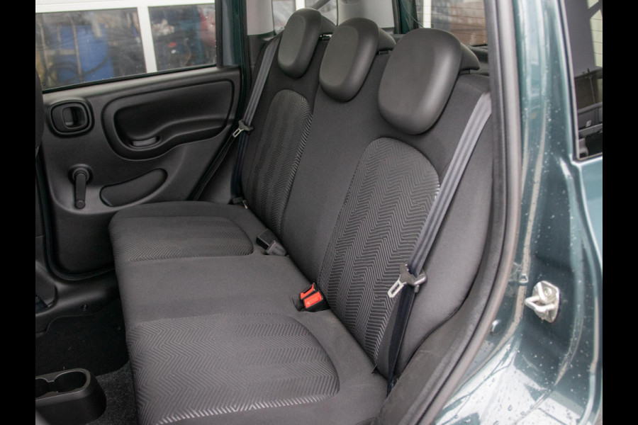 Fiat Panda Hybrid Garmin Cross | Clima | Priv. glass | Dakrails | 5-Persoons | Apple Carplay | Verde Foresta | Pack Garmin