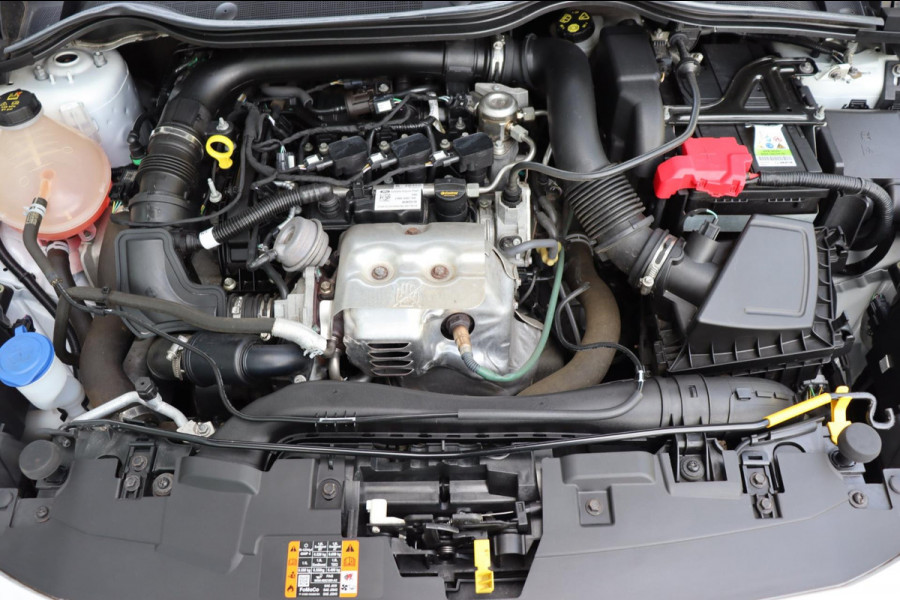 Ford Fiesta 1.0 EcoBoost Active X org.NL B&O ecc navi stuur/stoel/raam verw. dakrail