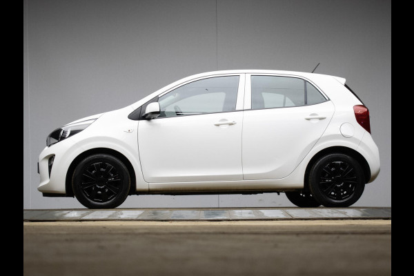 Kia Picanto 1.0 CVVT EconomyPlusLine Sport (AIRCO,BLUETOOTH,LED,LAGE KM STAND,BLACK/WHITE EDITION,SPORTSTOELEN,NETTE STAAT)