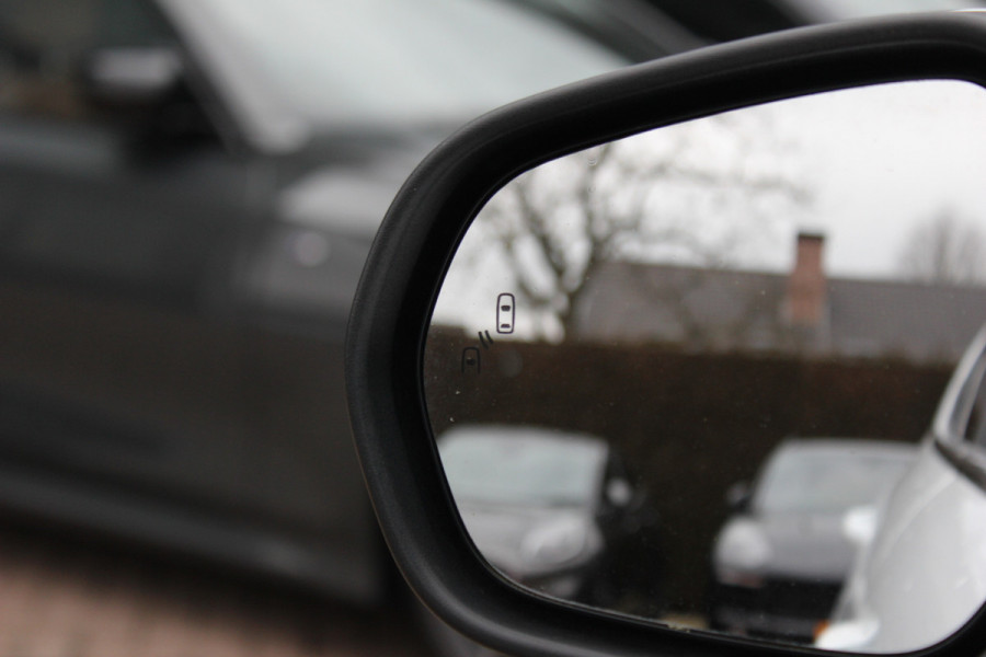 Ford Fiesta 1.0 EcoBoost Vignale Panoramadak / Camera / Leder / 18'' / Navigatie / B&O / Dodehoek / DAB / Stuur+Stoelverwarming / ACC