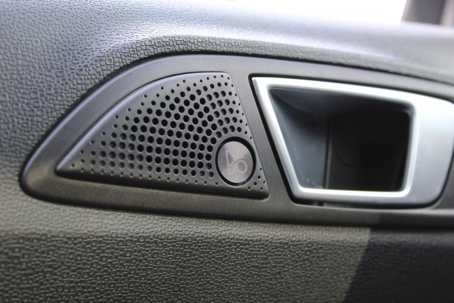 Ford EcoSport 1.0 EcoBoost Titanium | Trekhaak | Camera | Winterpack | B&O | BLIS | NL Auto