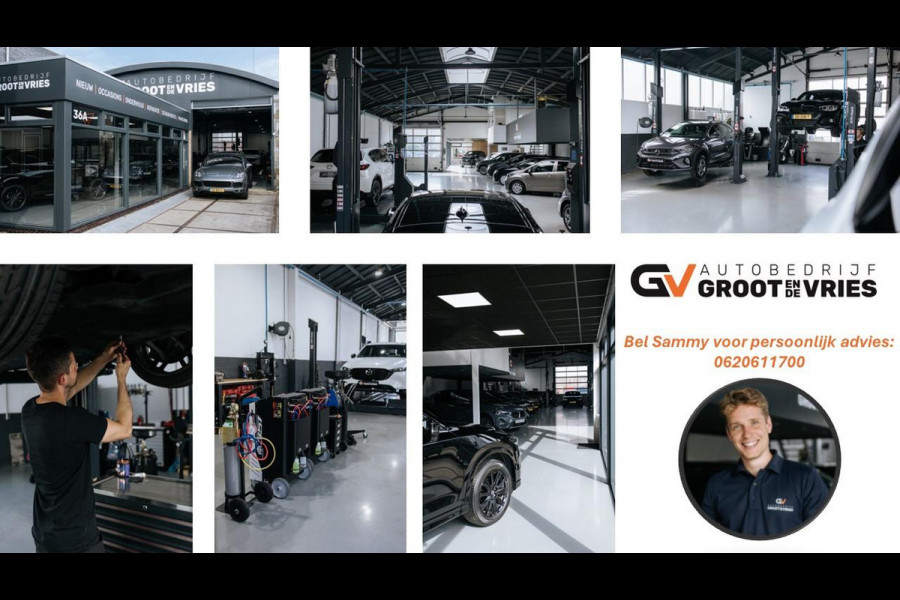 Lexus UX 250h Business Line Stoel/stuurverwarming|Camera