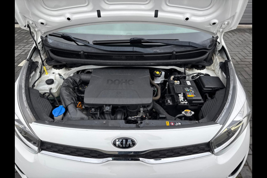 Kia Picanto 1.0 CVVT Design Edition Luxe | CarPlay | Navi | Led | NAP