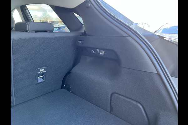 Ford Puma 1.0 EcoBoost Hybrid Titanium 125pk | Winterpack | Trekhaak Afneembaar | SYNC 4 Navigatie |