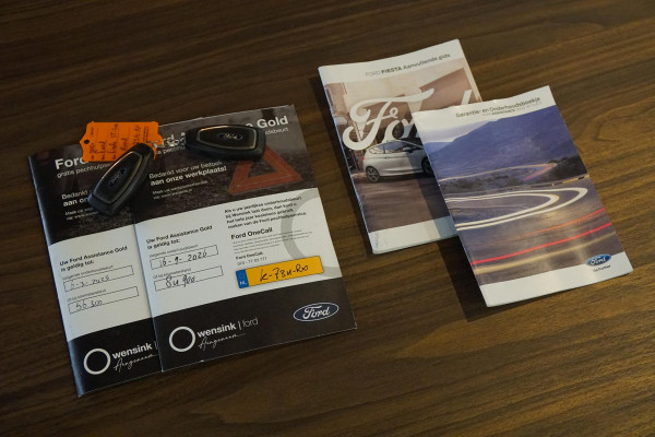 Ford Fiesta 1.0 EcoBoost Hybrid ST-Line X + B&O / LED