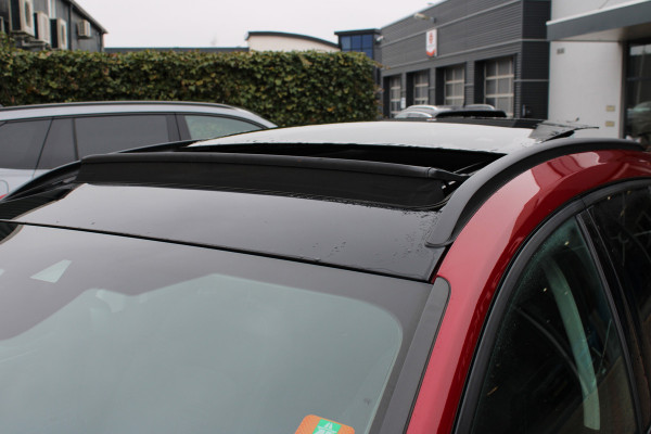 Ford FOCUS Wagon 1.0 EcoBoost Active Business | Trekhaak | Adaptieve cruise | Panoramadak | Origin NL