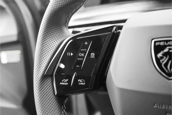 Peugeot E-3008 GT Avantage 210 73 kWh Warmtepomp Stuur & Stoelverw Leder