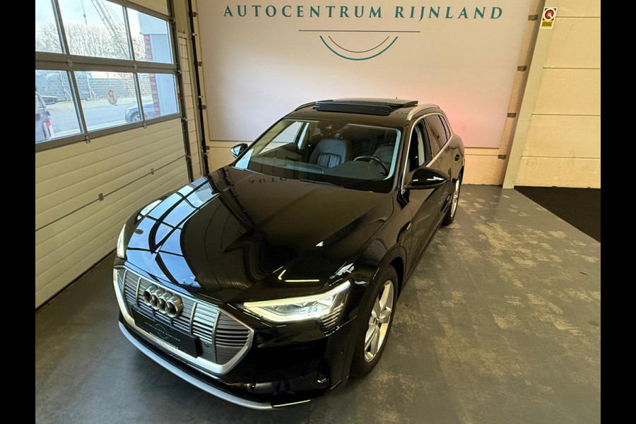 Audi e-tron 50 quattro Launch edition Plus 71 kWh Pano Trekhaak