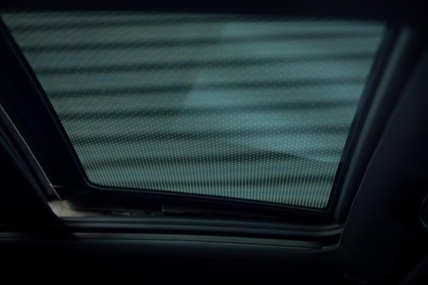 BMW X5 xDrive30d High Executive / Luchtvering / HUD / 22 '' / M-Sport / Skylounge / Adaptive