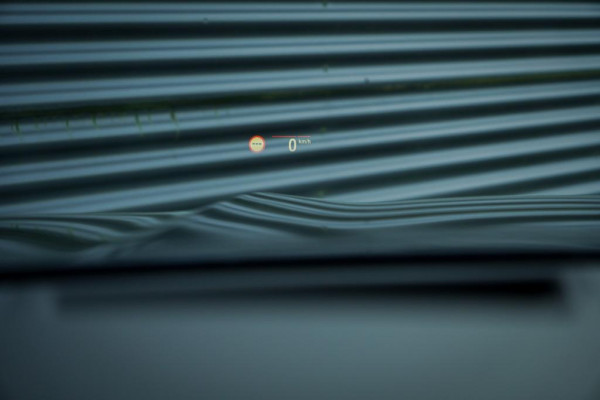 BMW X5 xDrive30d High Executive / Luchtvering / HUD / 22 '' / M-Sport / Skylounge / Adaptive