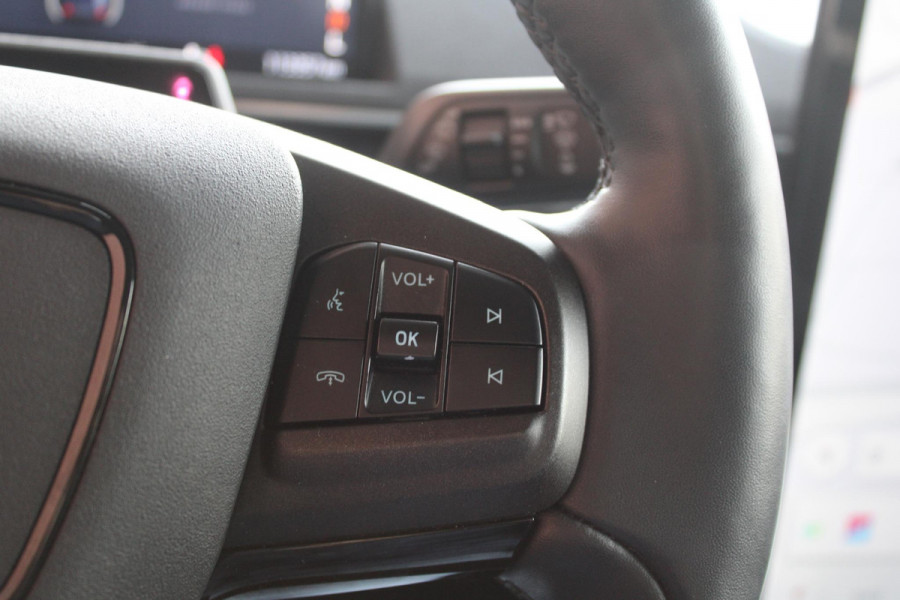 Ford Mustang Mach-E RWD 75 kWh | Full Leder | 113000 km!