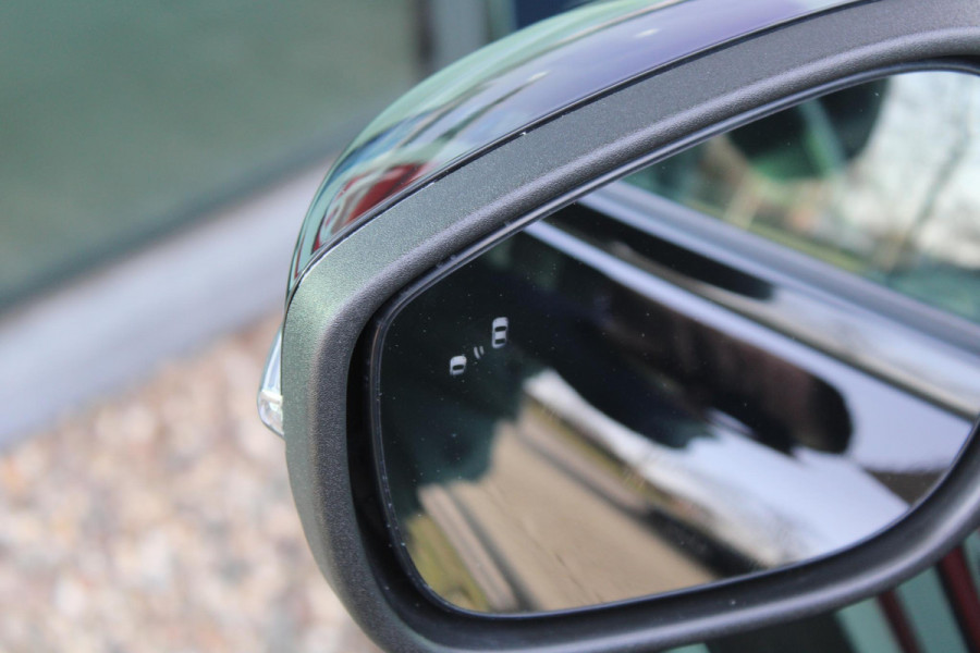 Ford Mustang Mach-E RWD 75 kWh | Full Leder | 113000 km!