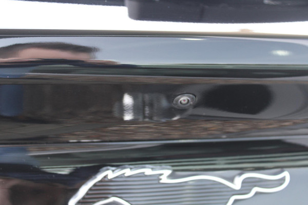 Ford Mustang Mach-E RWD 75 kWh | Full Leder | 113000 km!