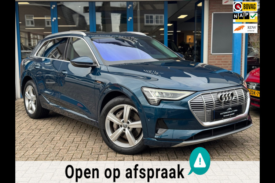 Audi e-tron E-tron 50 quattro Launch edition plus 71 kWh NAP