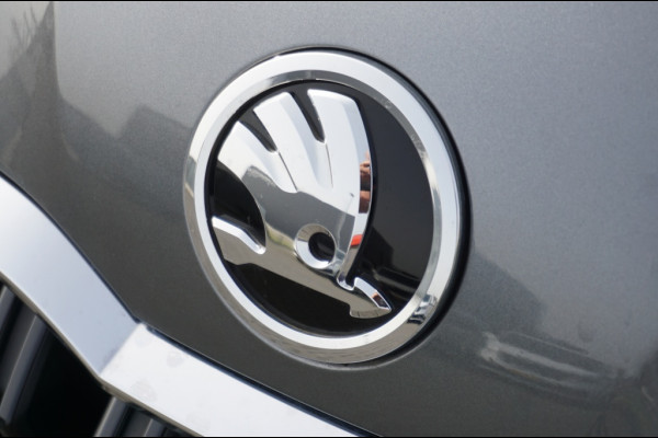 Škoda Kamiq 116PK Business ed. AUTOMAAT | CAMERA | EL. CLIMATE | 2025!