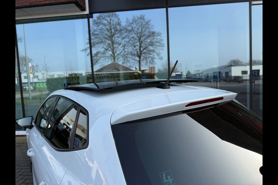 Seat Ibiza 1.0 TSI FR Business Intense - Navi - Pano/Schuifdak - Winterpakket - Org.NL